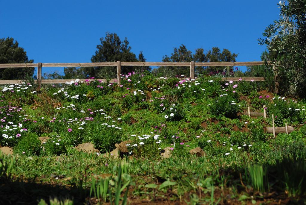 Agriturismo Val Di Nappo Castiglione della Pescaia Exterior foto