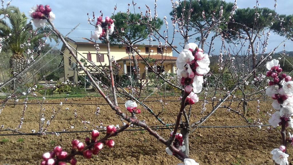 Agriturismo Val Di Nappo Castiglione della Pescaia Exterior foto
